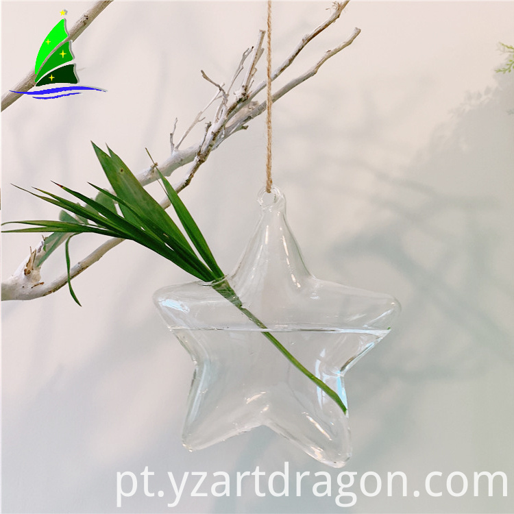 Vidro da forma da estrela Star Shape Glass